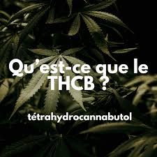 Qu'est-ce que le THCBJ THCB