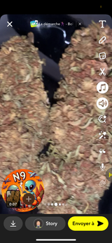 ORANGELO N9[VERY VERY STRONG🛑]