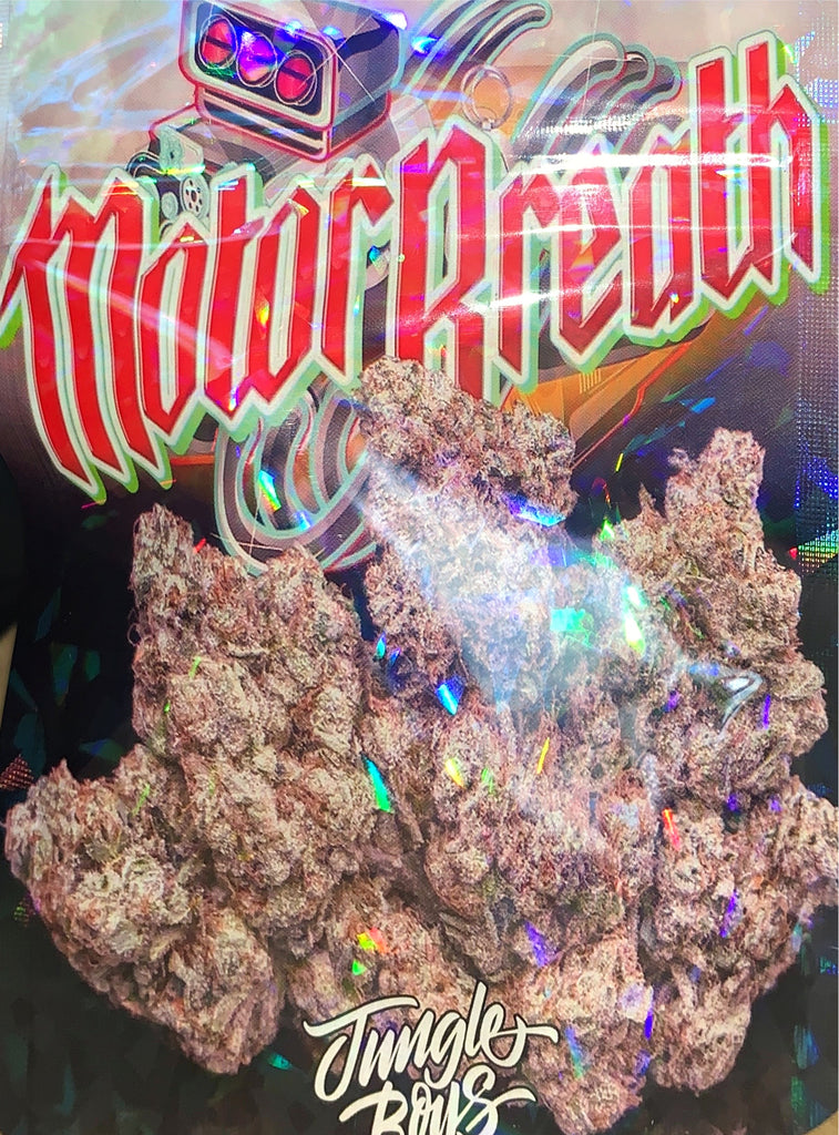 MOTOR BREATH USA
