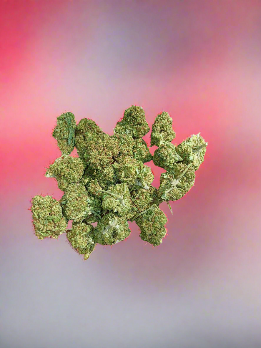 POKĖBUD N9 [VERY VERY STRONG🛑]