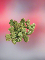 POKĖBUD N9 [VERY VERY STRONG🛑]