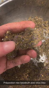 BELZÉBUTH RÉSINE EXTRÊMEMENT PUISSANCE 🔞⚠️ NEW RECETTE 27/11/2025