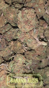 PACK POKEBALL N🥇 UNO DES PACK CBD 5 NEW VARIÉTÉS 2026