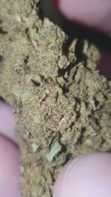 BOUDAH KUSH N9 [VERY VERY STRONG🛑]NEW 27/12/25