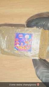 RÉSINE CHAMPIBRILINE