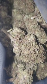 LA FOUDRE N9🌩 [VERY VERY STRONG🛑]