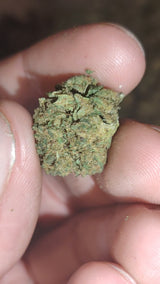 ORION X PLUTONIUM HPC {STRONG🦠}