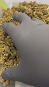 FLEUR ALIEN OG KUSH 25%HPC [EXTRÊMEMENT FORT🛑]