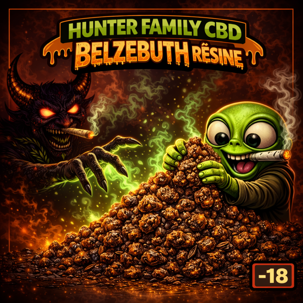 BELZÉBUTH RÉSINE 👾