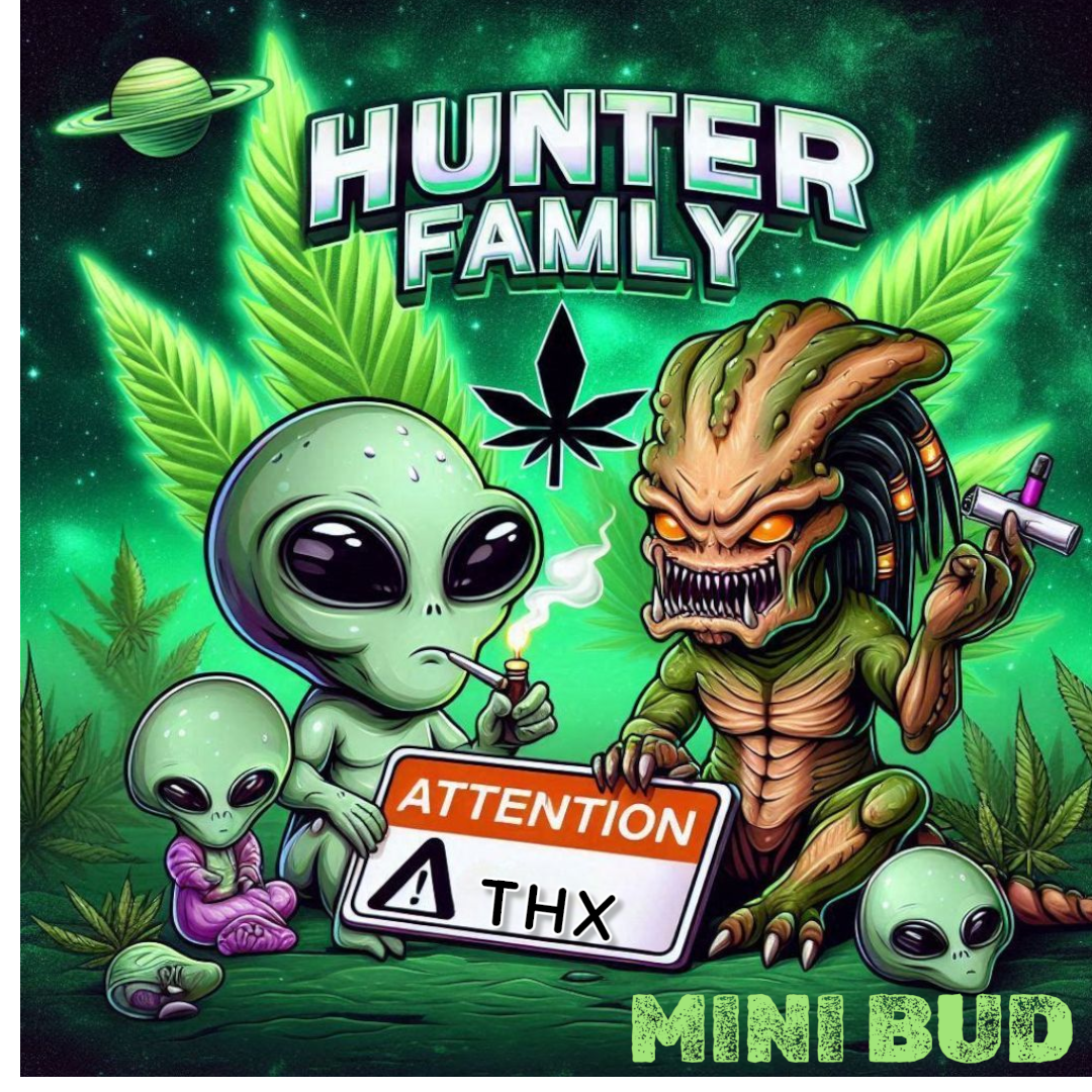 FLEUR PRÉDATEUR BUD KUSH THX[VERY STRONG🛑]