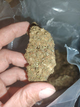 JACK HERER N9 {STRONG??}1er Poleineuse