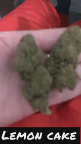 PACK POKEBALL N🥇 UNO DES PACK CBD 5 NEW VARIÉTÉS 2026