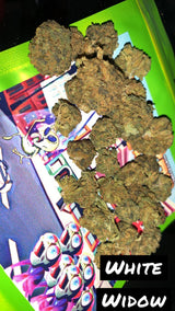 PACK POKEBALL N🥇 UNO DES PACK CBD 5 NEW VARIÉTÉS 2026