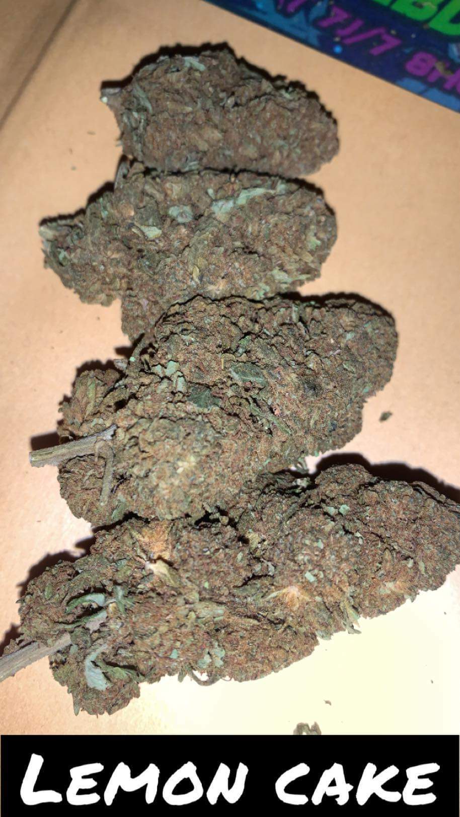 PACK POKEBALL N🥇 UNO DES PACK CBD 5 NEW VARIÉTÉS 2026