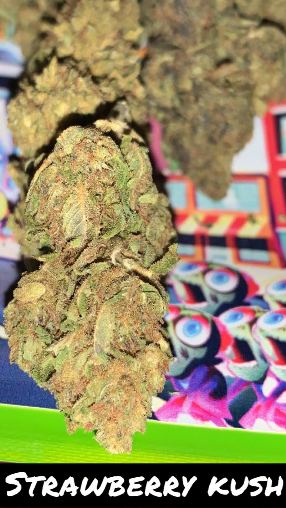 PACK POKEBALL N🥇 UNO DES PACK CBD 5 NEW VARIÉTÉS 2026