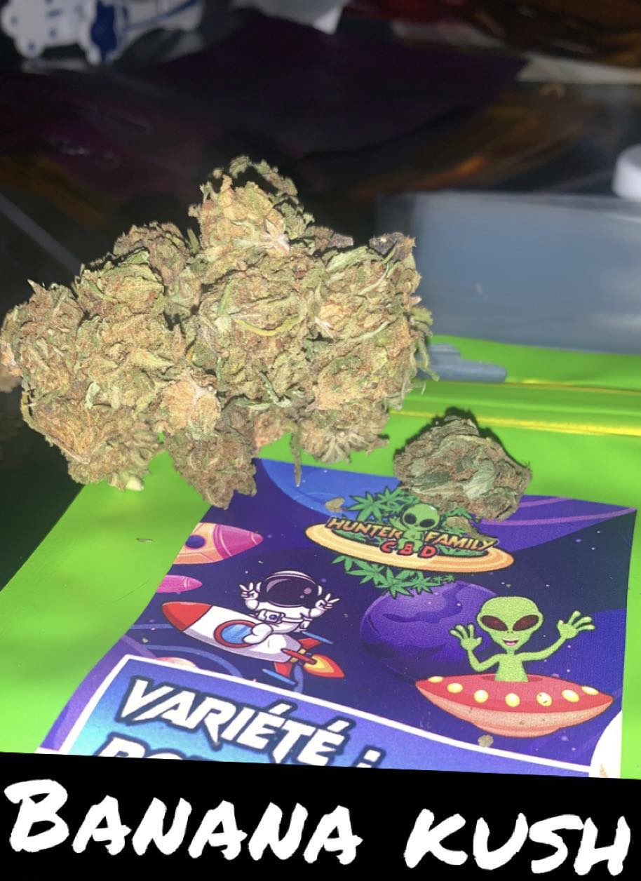 PACK POKEBALL N🥇 UNO DES PACK CBD 5 NEW VARIÉTÉS 2026